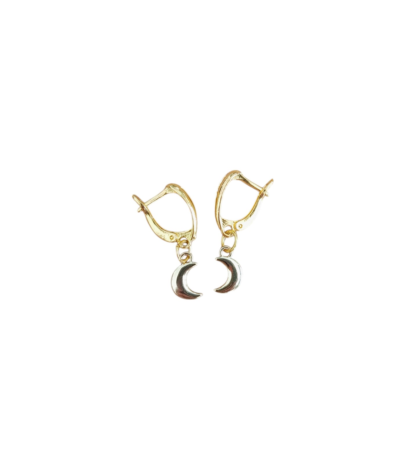 Maan RVS gold plated