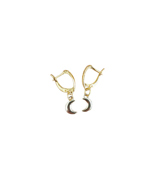 Maan RVS gold plated