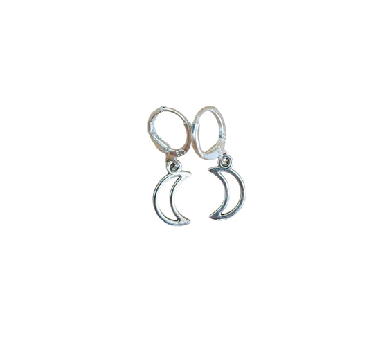 Maan RVS silver plated